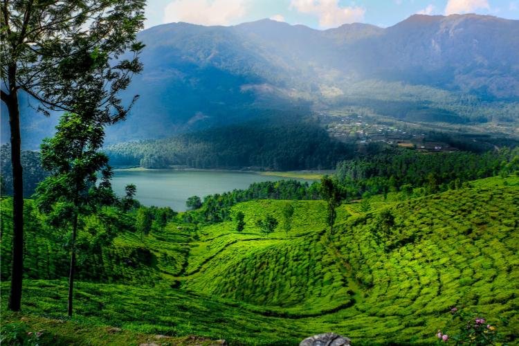 https://padiyathholidays.com/admin/uploads/image/packages/honeymoon/kerala-romantic-retreat/17978503.jpg