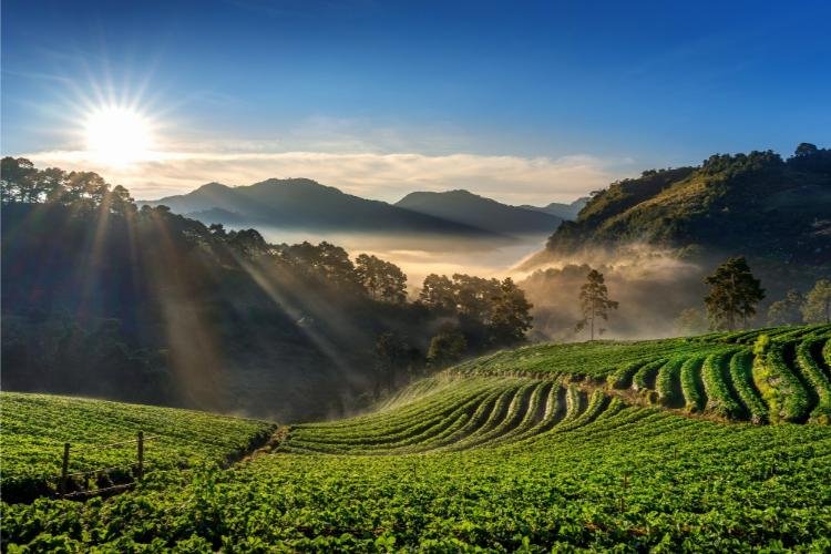 https://padiyathholidays.com/admin/uploads/image/packages/honeymoon/kerala-romantic-retreat/762-1.jpg